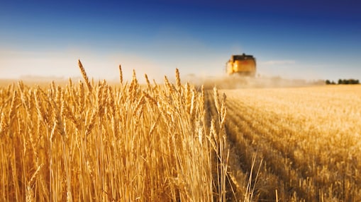 Farming equipment in field of crops