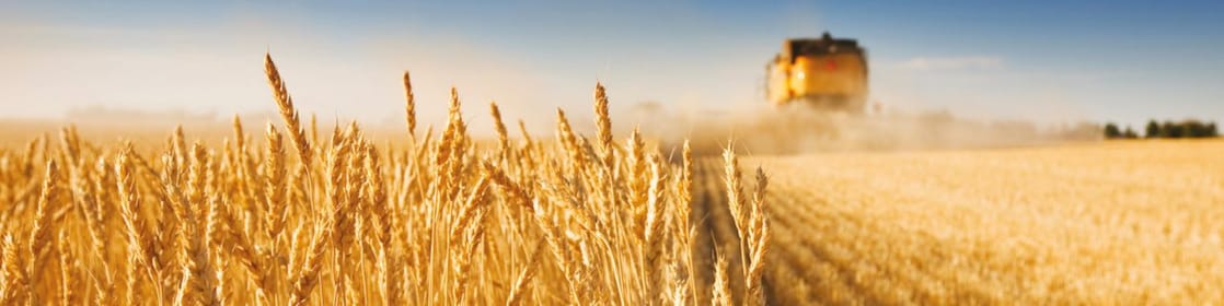 Combine harvester, harvesting half a field of crops