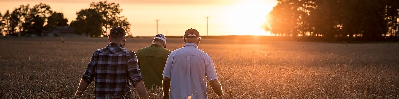 Group walking through wheat field