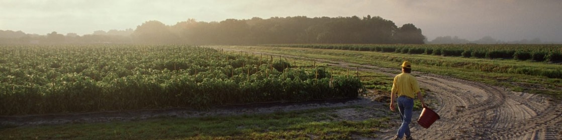 person walking through ploughed field