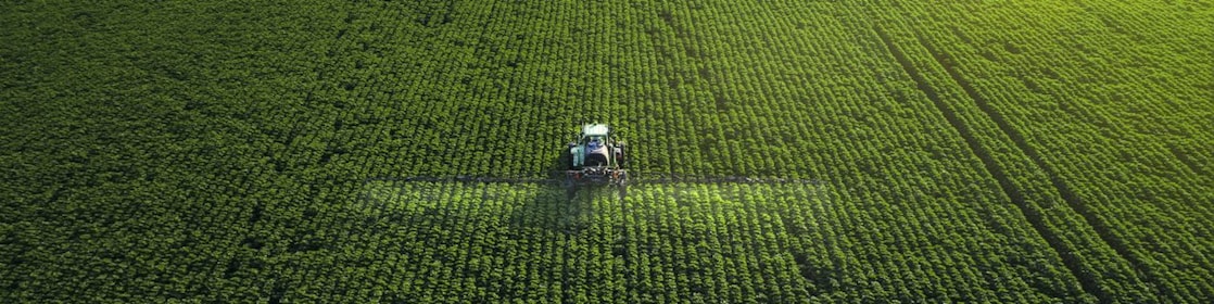 Combine harvester in field