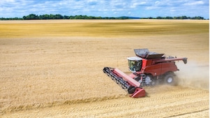 Combine harvester in field