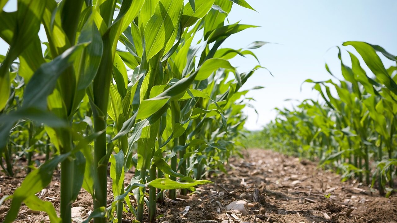 Shell Rotella: Meeting the Challenges of Modern Farming