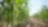 Shell Rotella: Meeting the Challenges of Modern Farming