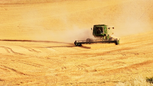 Protect your tomorrow