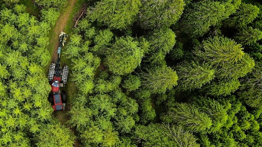 Shell PANOLIN Biodegradable Lubricants