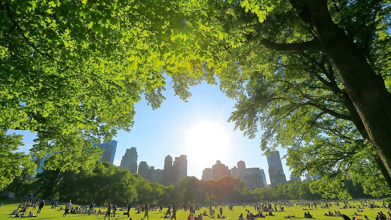 Lubricants to Support Your Sustainability Credentials