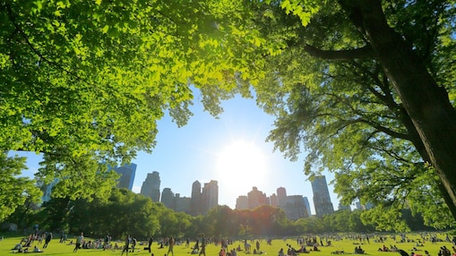 Lubricants to Support Your Sustainability Credentials