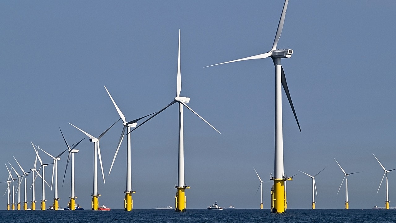 An offshore wind farm.