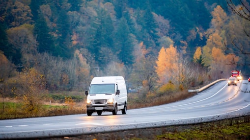 Mini Van on Road With Jungle Sideways