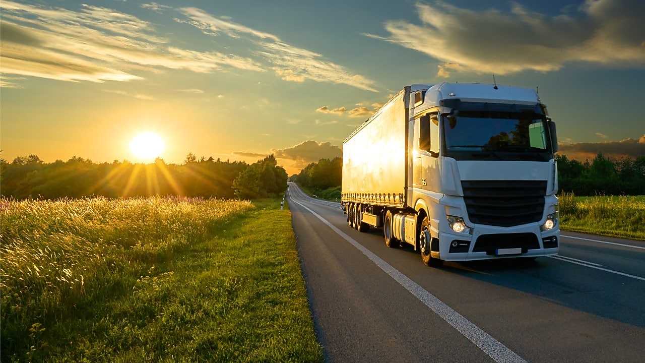 truck on a road next to a forest