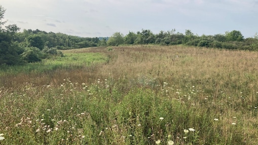 Pipeline Conservation Program