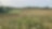 Pipeline Conservation Program
