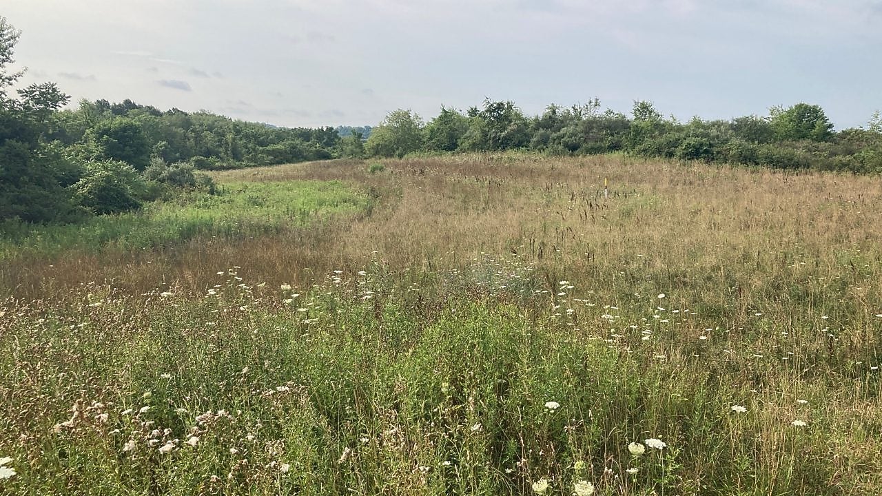 Pipeline Conservation Program