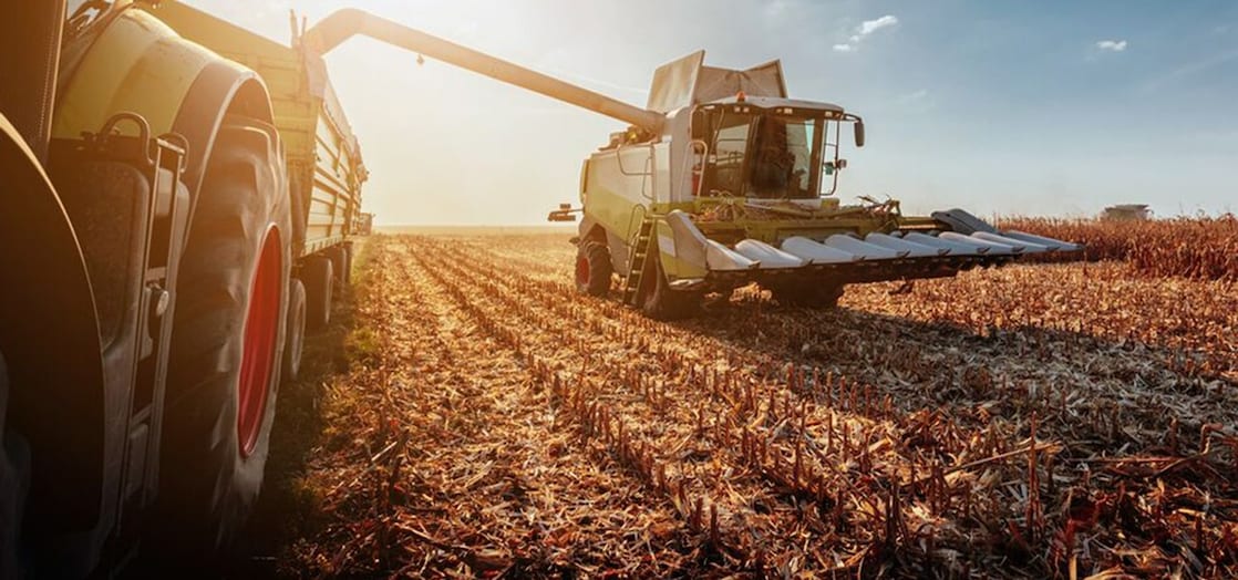 Tractor in field