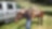 Kim with a horse on a vacation.