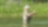 Kim fly fishing