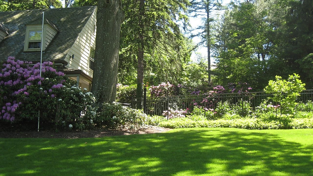 View of Kim’s garden