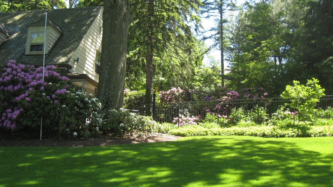 View of Kim’s garden