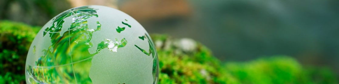 Green-tinted glass earth on greenery