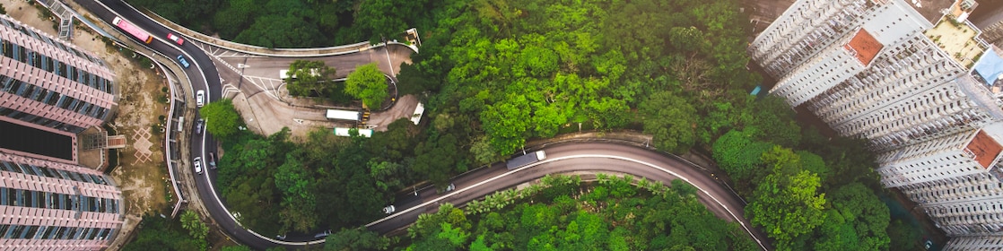 Birds eye view of city with dense green trees and buildings