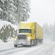 Icy conditions required risk mitigation strategies to keep polyethylene supply chains moving