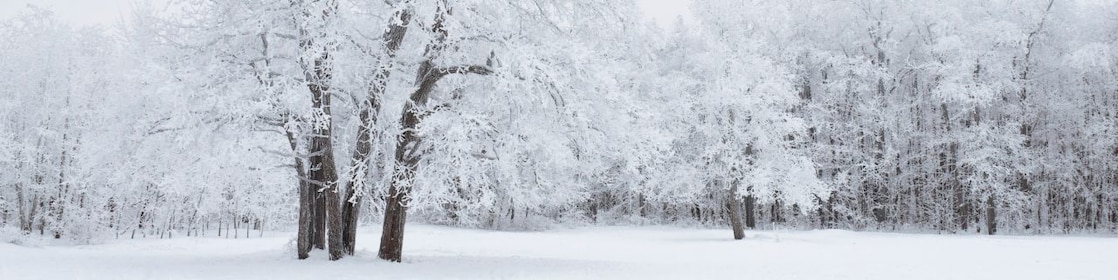 Polymer industry trends about winter holidays