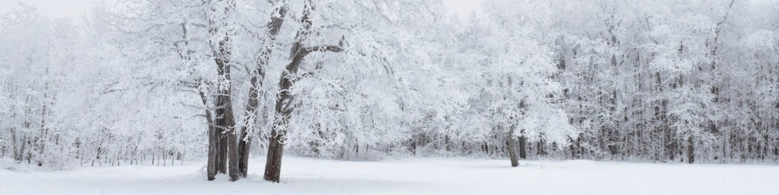 Polymer industry trends about winter holidays