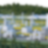 Shell Polymers - Homepage - Sustainability