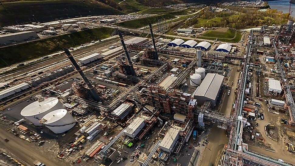 Stay Updated on Plant Progress