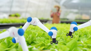 Harnessing Leading Sustainability Practices