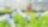 Harnessing Leading Sustainability Practices