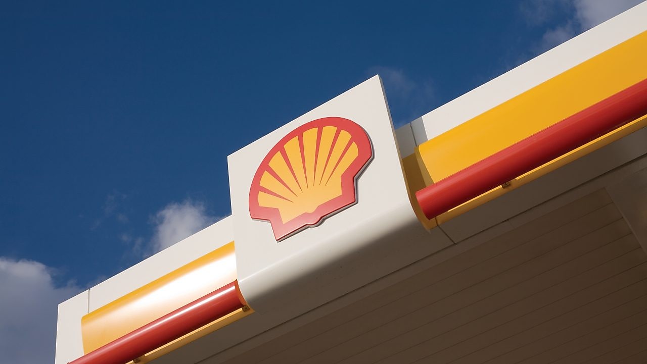 shell pecten with sky