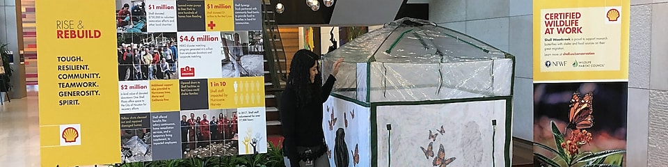 A Shell employee inspects the Monarch Migration Station on display in the lobby of Shell’s Woodcreek Campus.