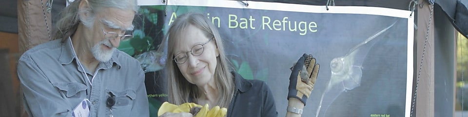 Members of the Austin Bat Refuge brought a bat visitor to Shell in Houston