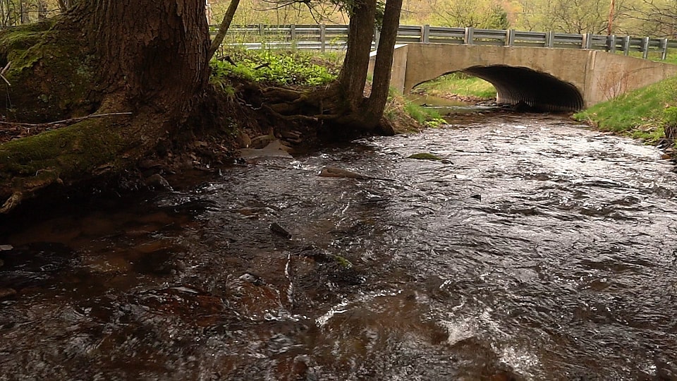 Learn about efforts in Western Pennsylvania to increase river quality and connectivity